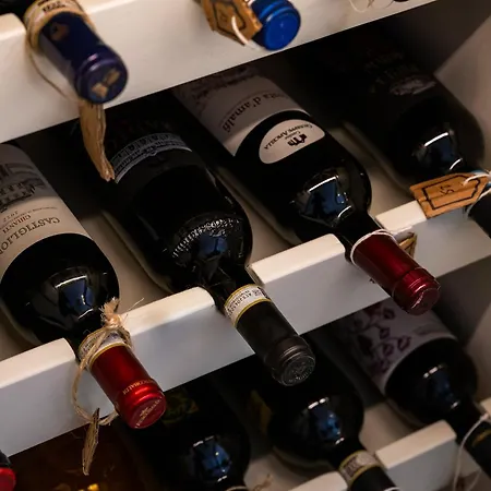 Punta Del Sole Διαμέρισμα Ποζιτάνο