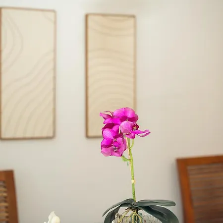 푼타 델 솔 아파트 *