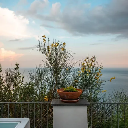 Punta Del Sole